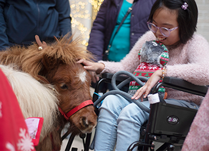 Therapy pony with patient