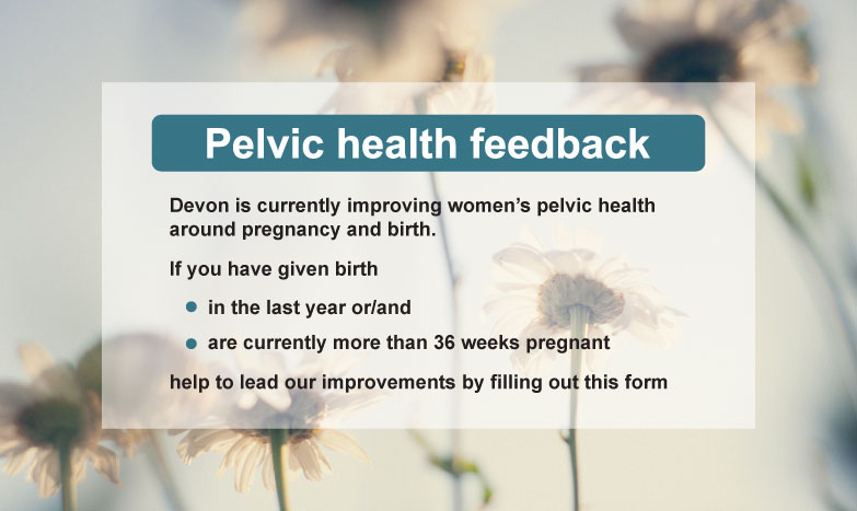 Daisies in background reaching towards the sky with a transparent white box on top. Black text says Pelvic health feedback, Devon is currently improving women's pelvic health around pregnancy and birth. If you have given birth in the last year or/and are currently more than 36 weeks pregnant, help to lead our improvements by filling out this form (picture links to form)